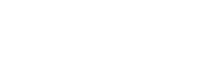 logo bullema blanc